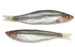 Whole Frozen Sprats 1kg