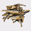 Sprats