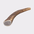 Deer Antler